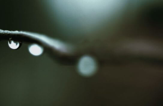 Water droplets
